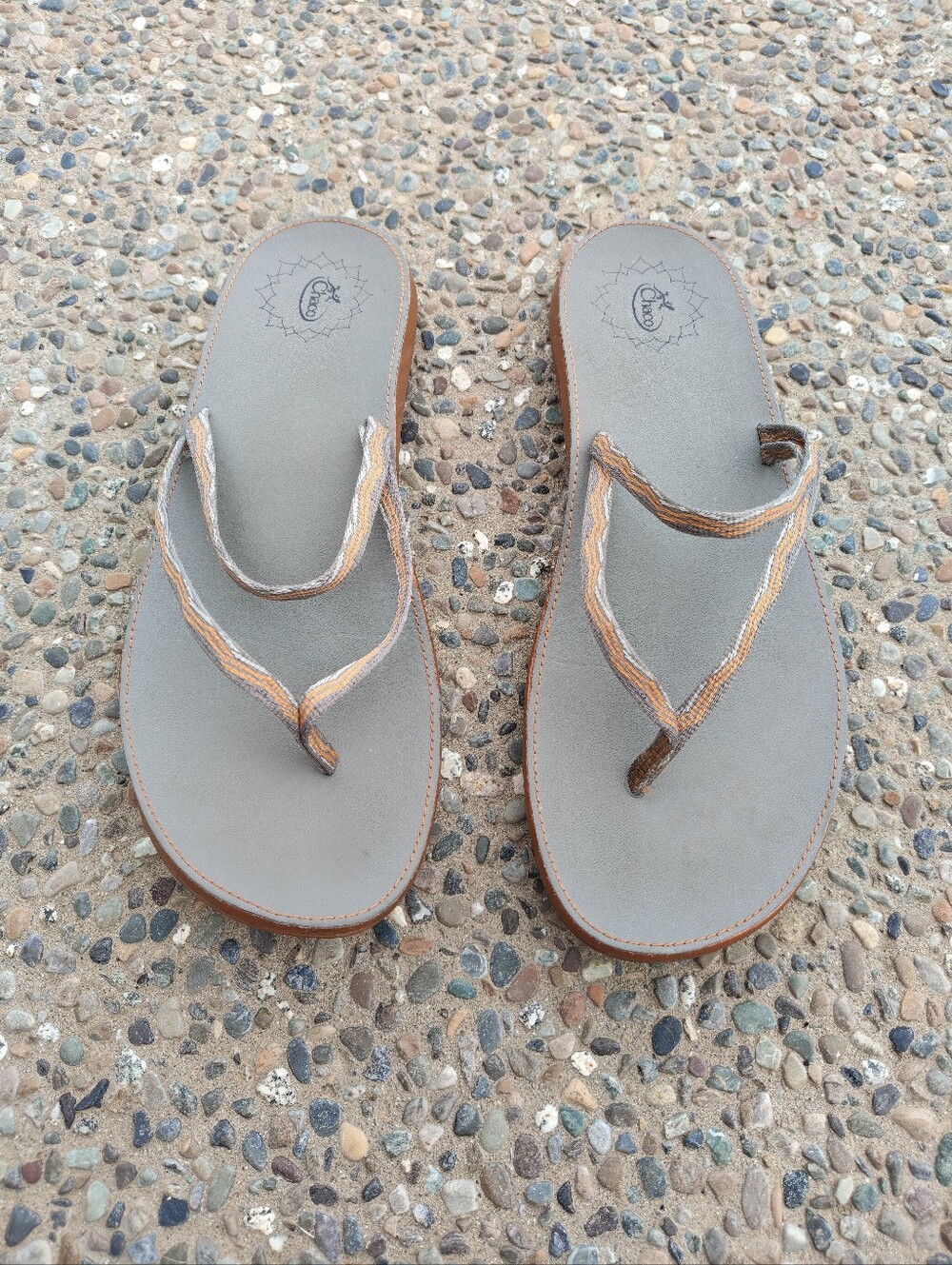 Chaco Women's Size 12 Abbey flip-flop sandals in 'Collegiate Sun'